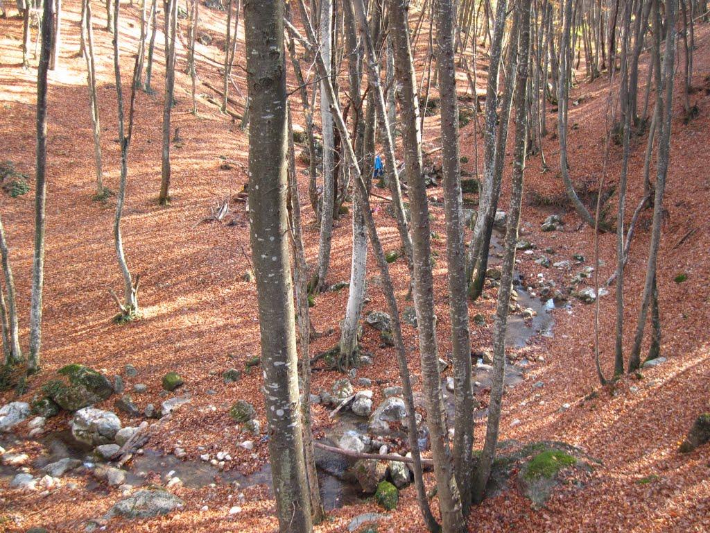 Чайковське з panoramio.com (ч.2) - Чайковське