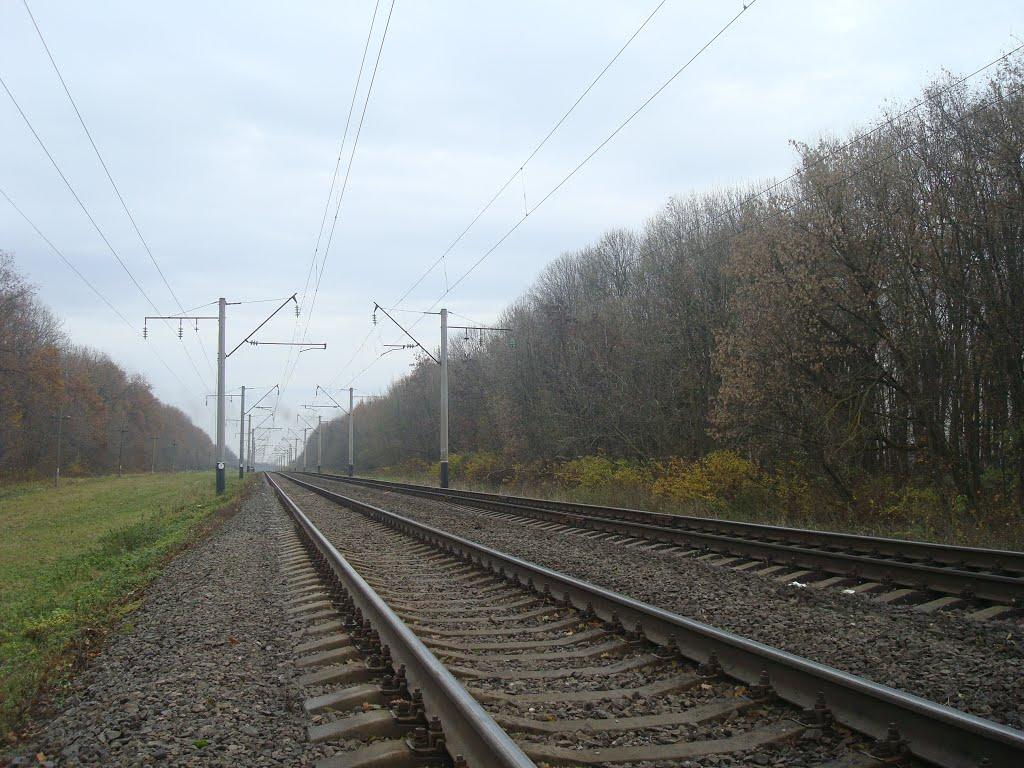 Лозова з panoramio.com - Лозова