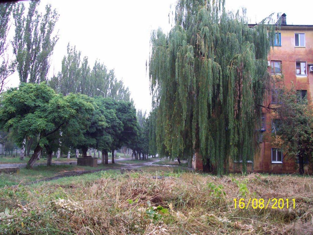 Миколаївка з panoramio.com (ч.2) - Миколаївка