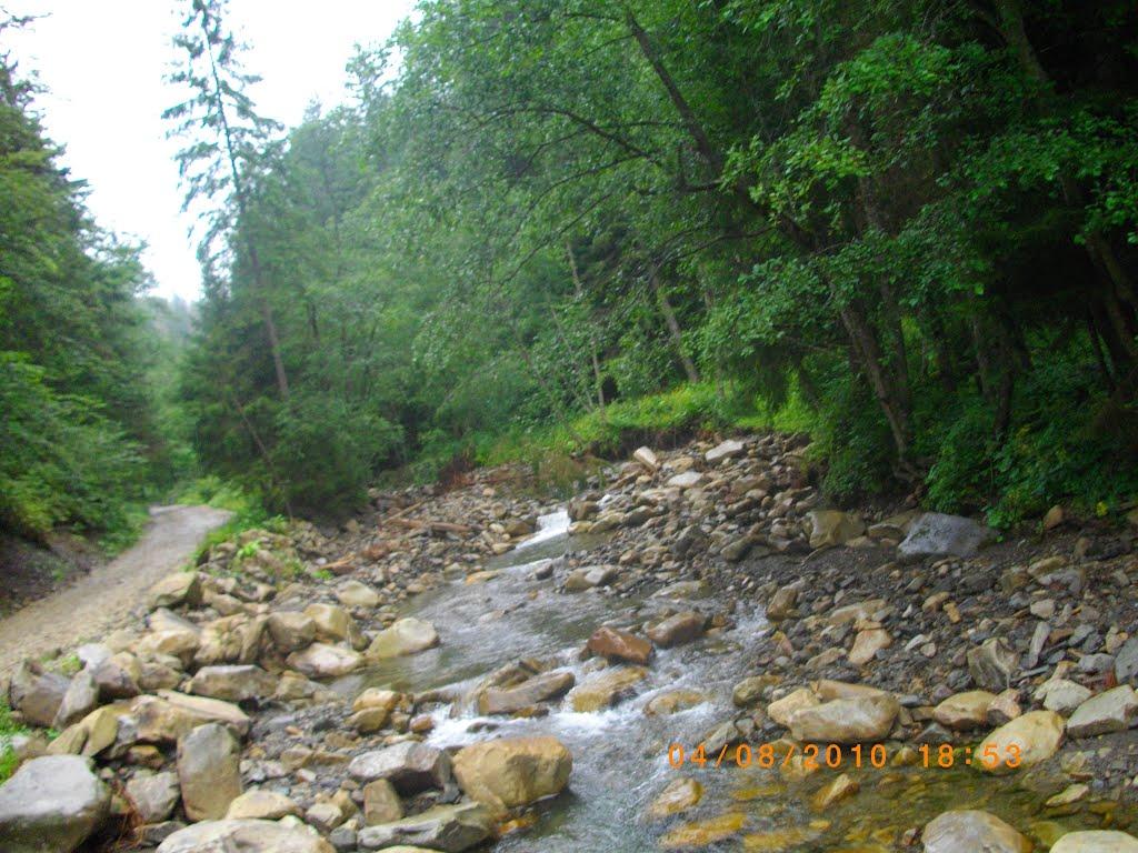 Татарів з panoramio.com - Татарів