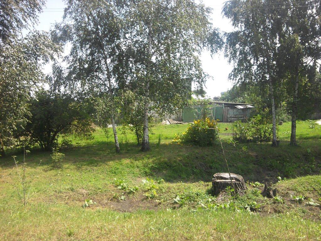 Березанка з panoramio.com - Березанка