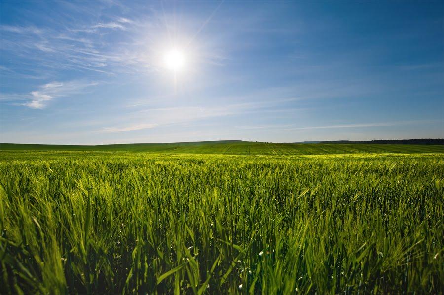 Жуличі з panoramio.com - Жуличі