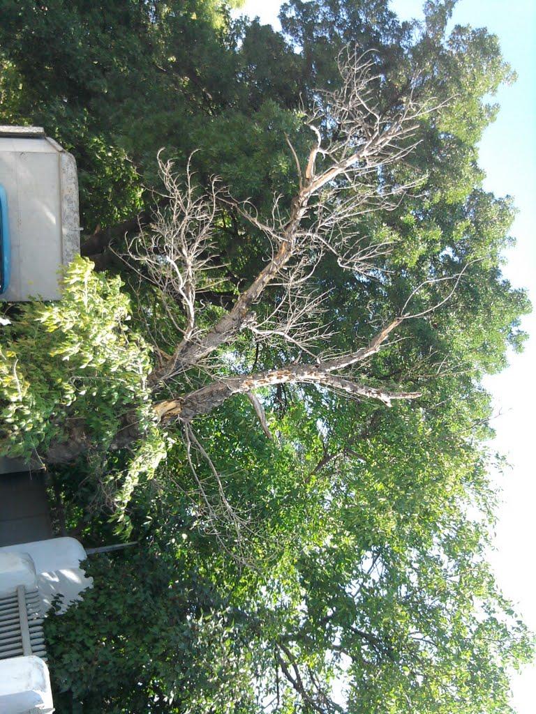 Білогірськ з panoramio.com - Білогірськ