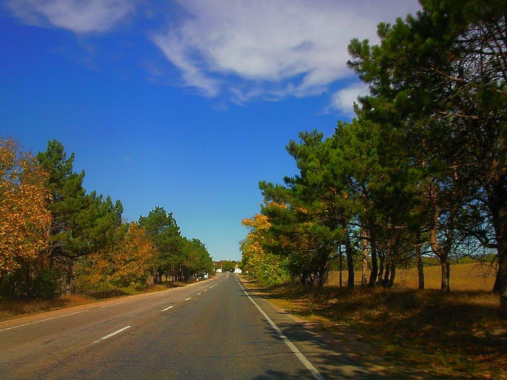 Сирень з panoramio.com - Сирень