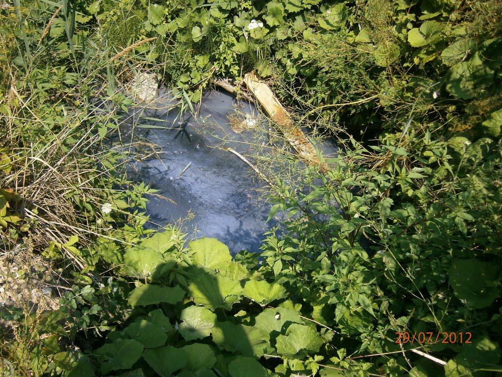 Новий Розділ з panoramio.com - Новий Розділ