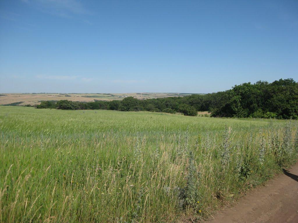 Центральний з panoramio.com - Центральний