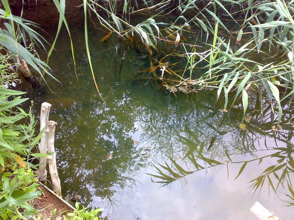 Тельмана з panoramio.com - Тельмана