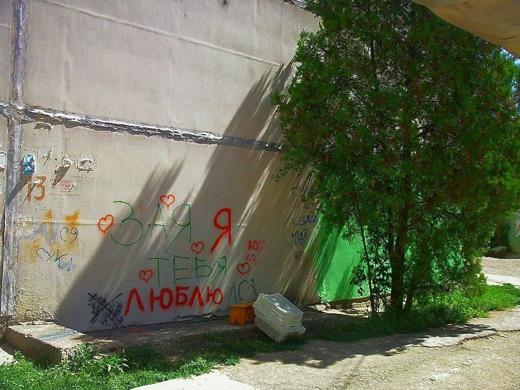 Сімферополь з panoramio.com (ч.13) - Симферополь