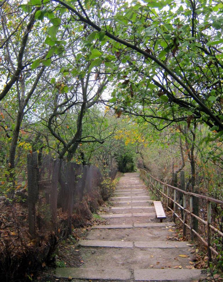 Лучисте з panoramio.com (ч.2) - Лучисте