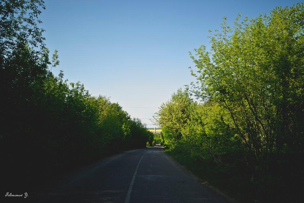 Ладижин з panoramio.com (ч.2) - Ладижин