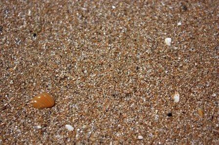 Щолкіне з panoramio.com - Щелкино