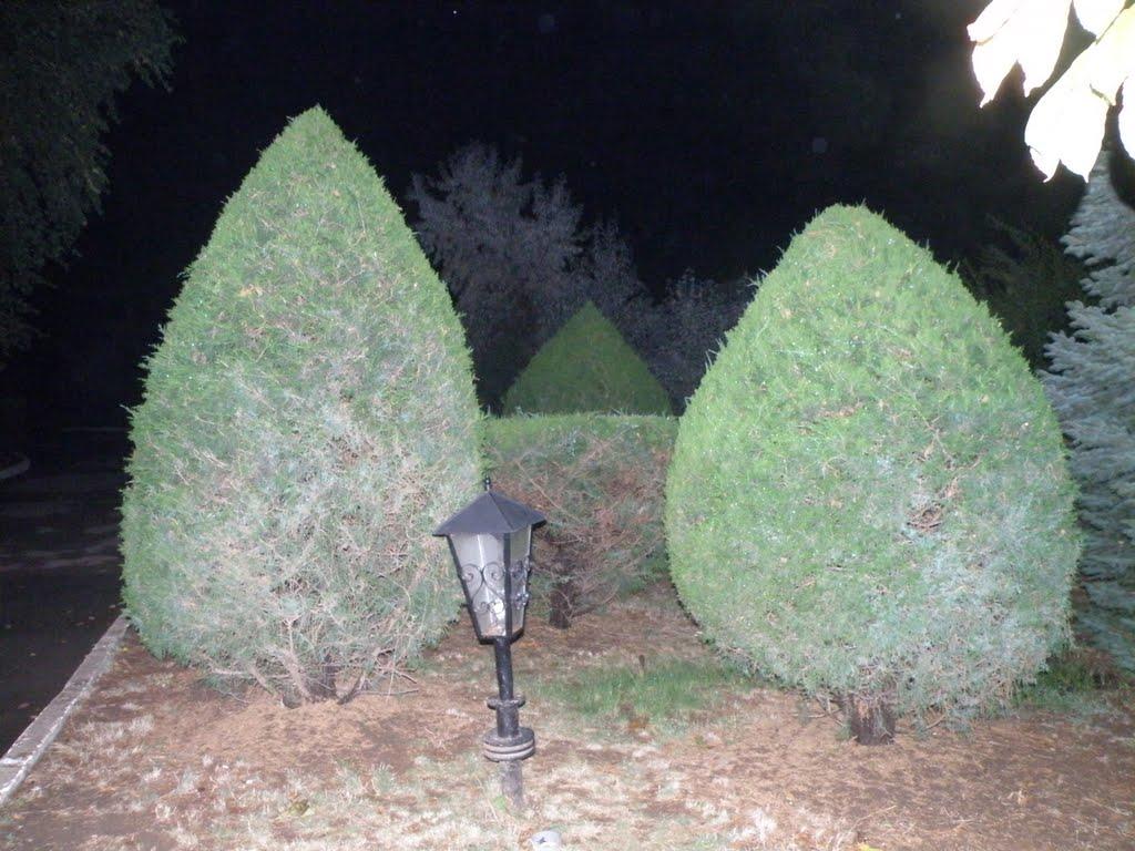 Миколаївка з panoramio.com - Миколаївка