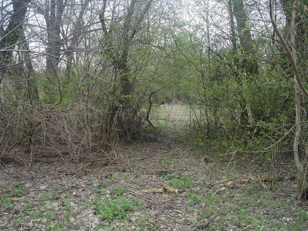 Хмельницький з panoramio.com (ч.13) - Хмельницкий