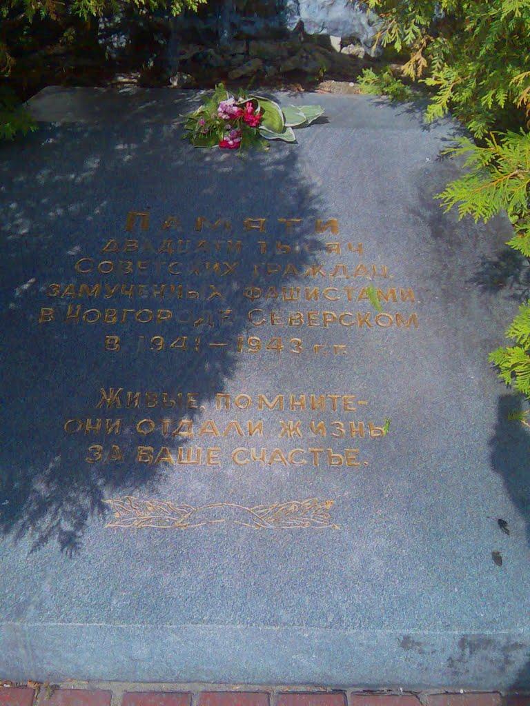 Новгород-Сіверський з panoramio.com - Новгород-Сіверський