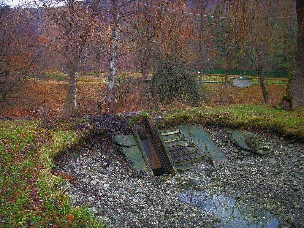 Розовий з panoramio.com (ч.2) - Розовий