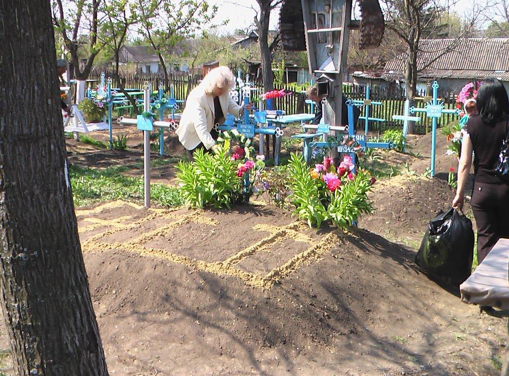 Петрівка з panoramio.com - Петровка