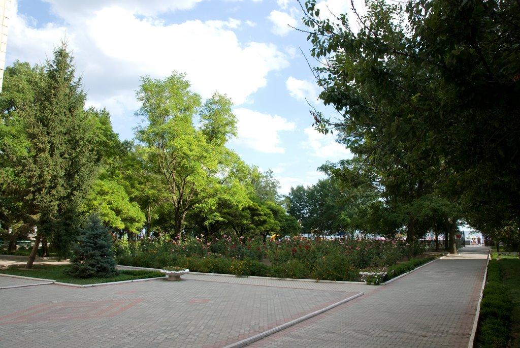 Скадовськ з panoramio.com - Скадовськ