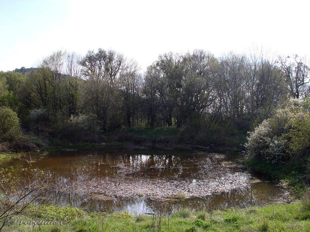 Паркове з panoramio.com - Паркове