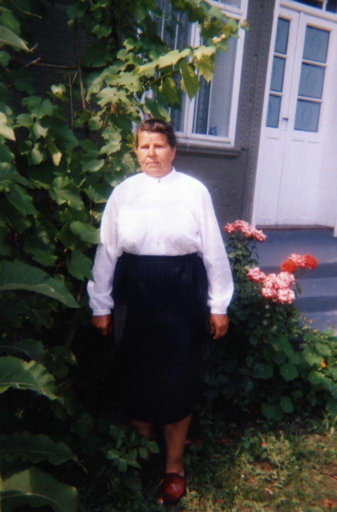 Ванчиківці з panoramio.com - Ванчиківці