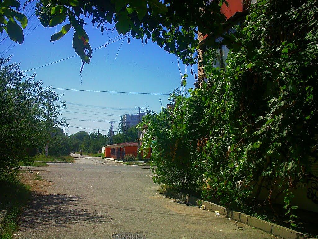 Сімферополь з panoramio.com (ч.13) - Симферополь