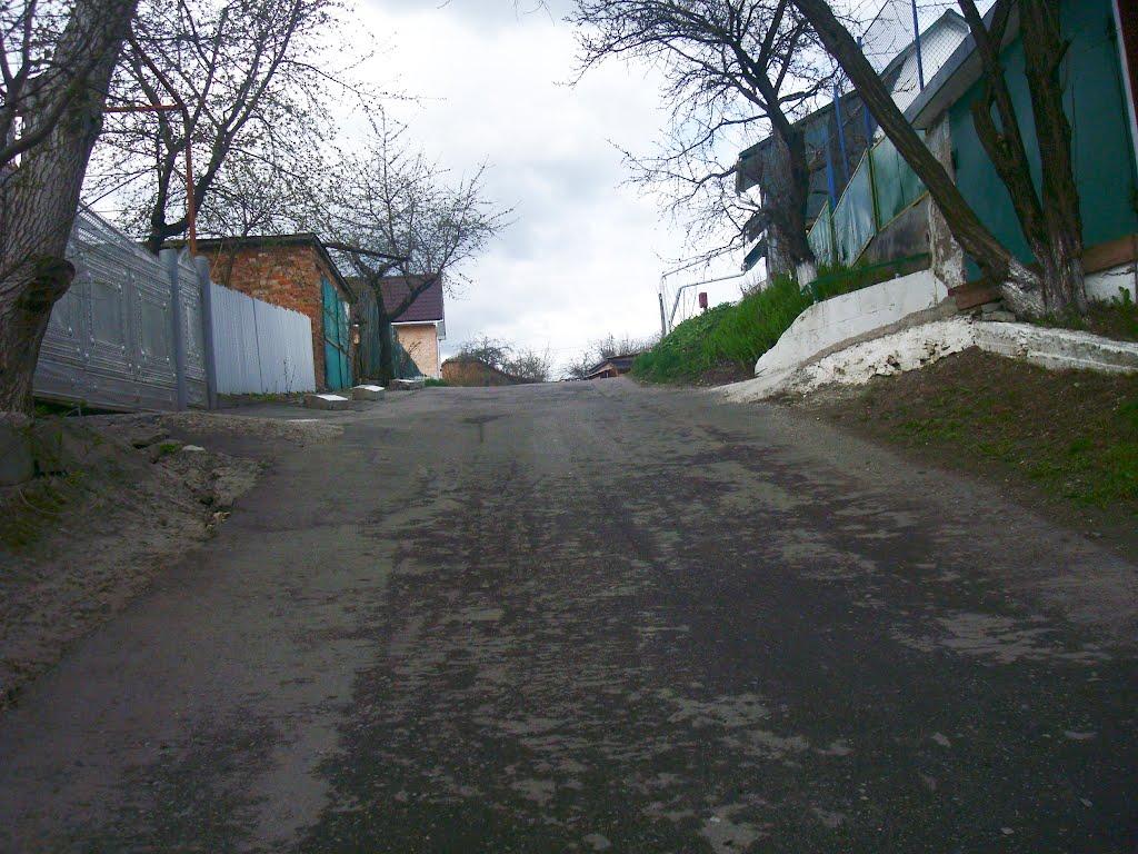 Хмельницький з panoramio.com (ч.13) - Хмельницкий
