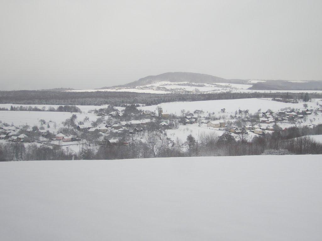 Герцівці з panoramio.com - Герцівці