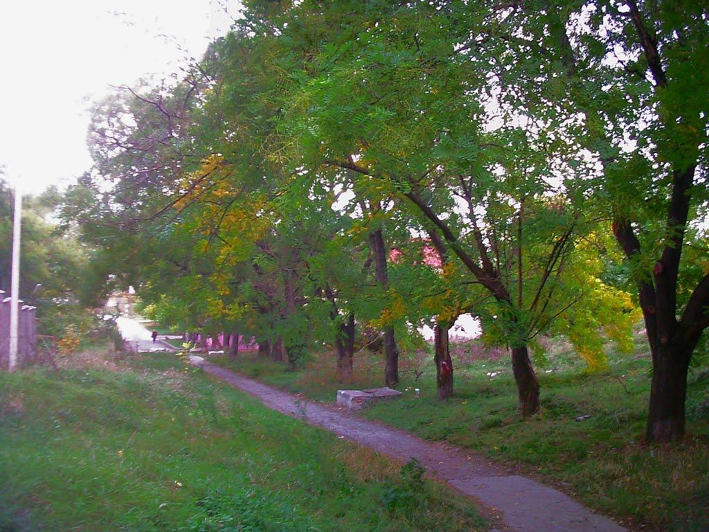Сімферополь з panoramio.com (ч.13) - Симферополь