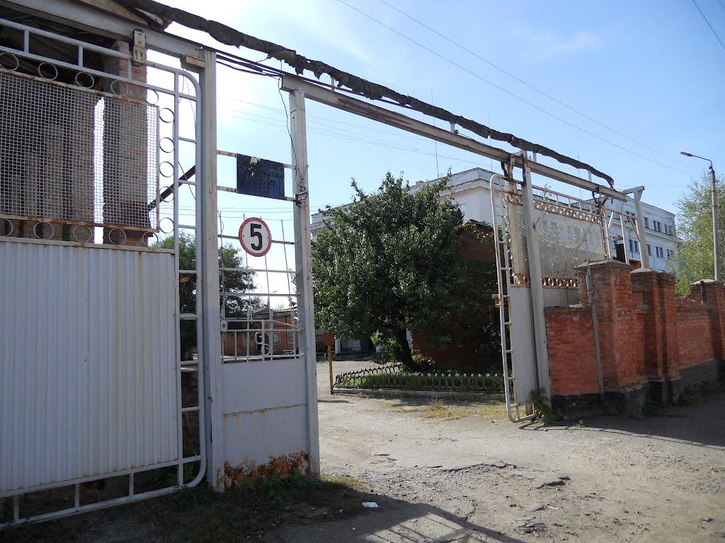 Олександрія з panoramio.com (ч.3) - Олександрія