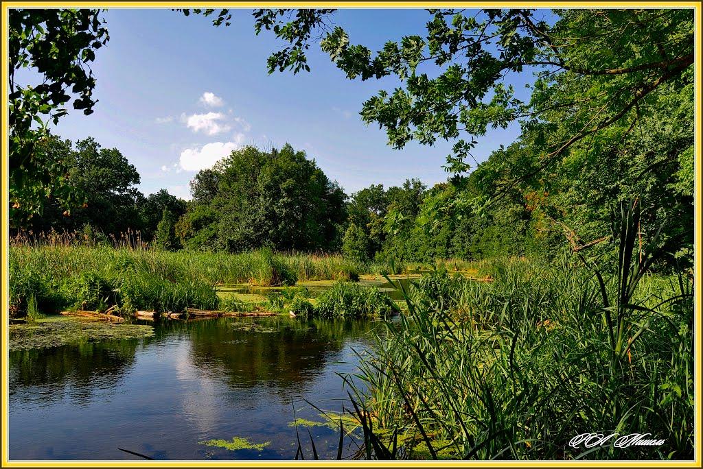 Дронівка з panoramio.com - Дронівка