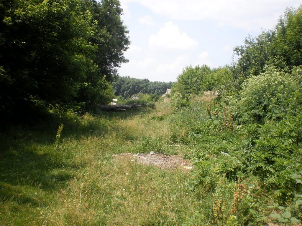 Джурин з panoramio.com - Джурин