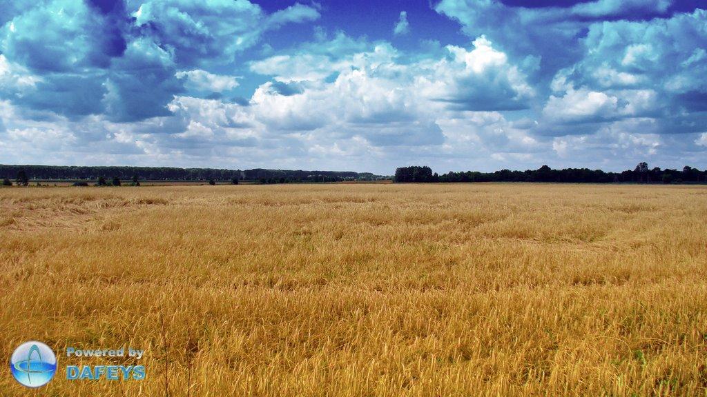 Березняки з panoramio.com - Березняки