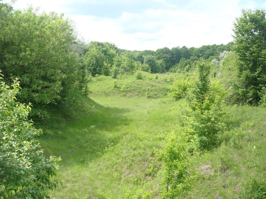 Ставчани з panoramio.com - Ставчани