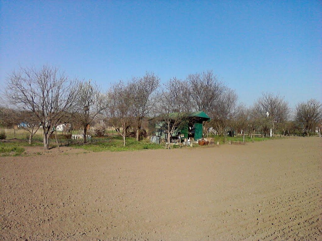 Куликівка з panoramio.com - Куликівка