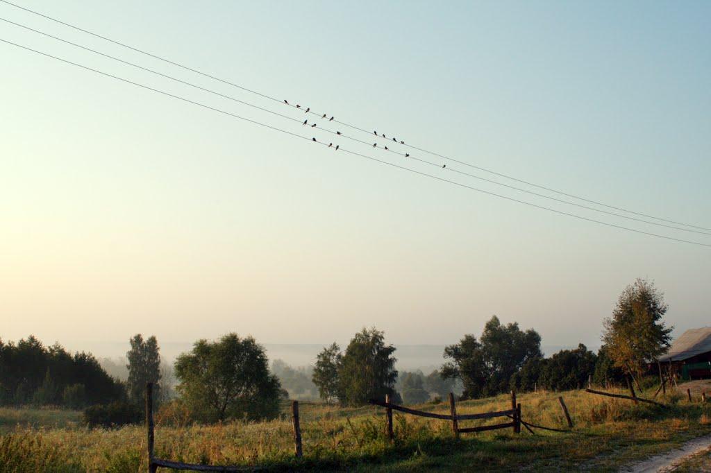 Підгайне з panoramio.com - Підгайне