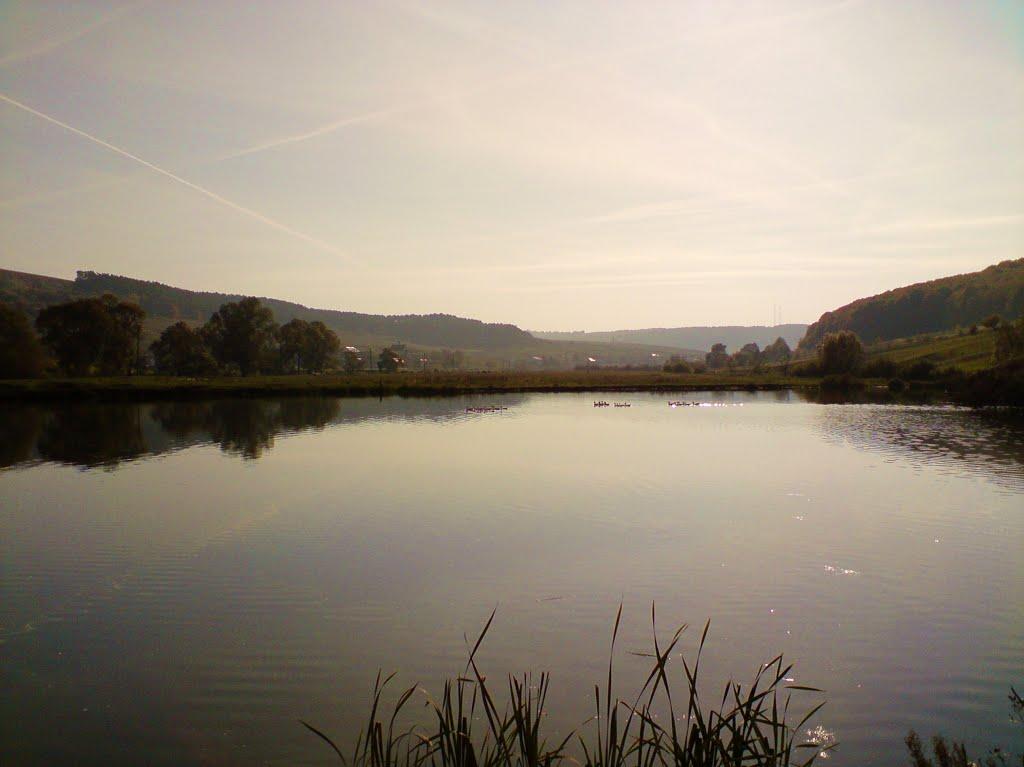 Рогачин з panoramio.com - Рогачин