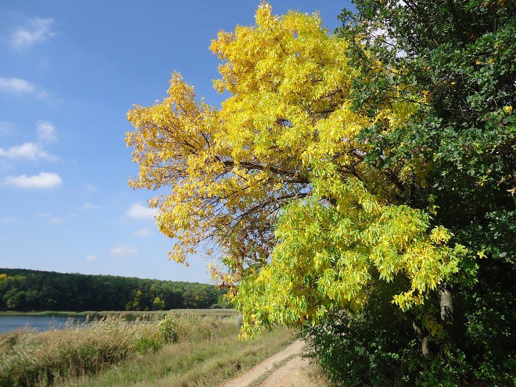 Донецьк з panoramio.com (ч.12) - Донецьк