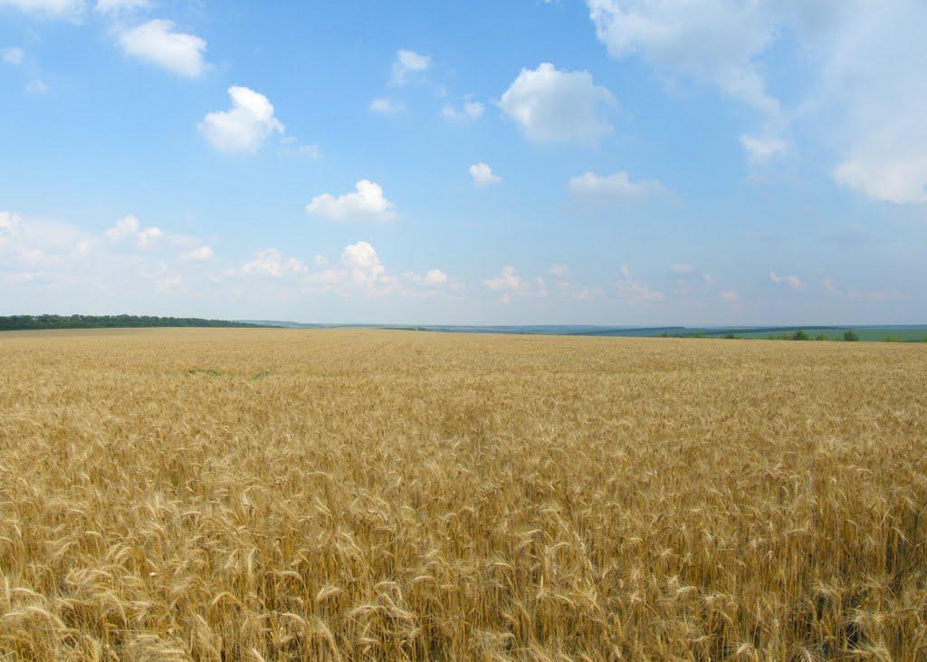 Крутеньке з panoramio.com - Крутенькое