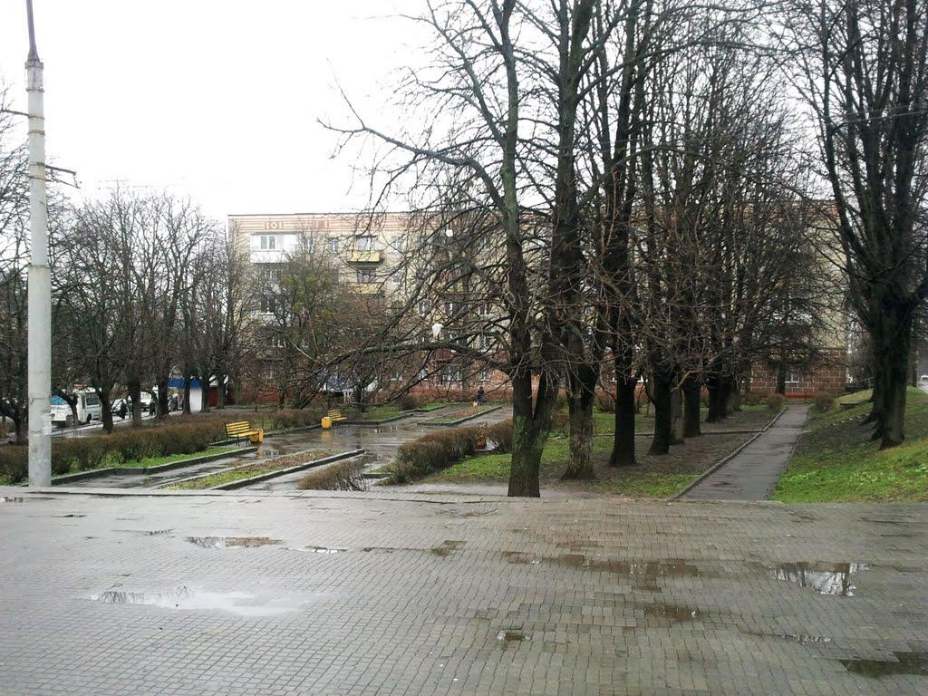 Хмельницький з panoramio.com (ч.13) - Khmelnytskyi