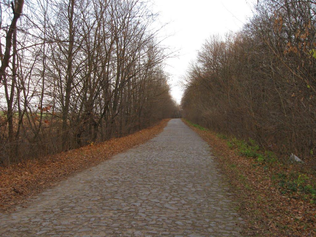 Велика Стратіївка з panoramio.com - Велика Стратіївка