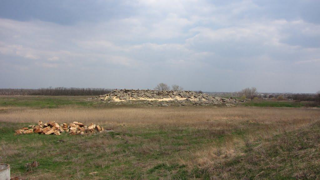 Новопилипівка з panoramio.com - Новопилипівка