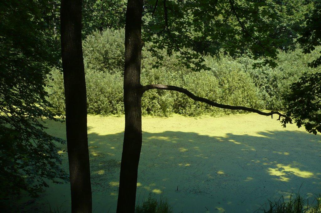 Дяківці з panoramio.com - Дяківці