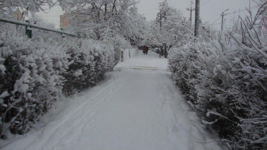 Гвардійське з panoramio.com - Гвардійське