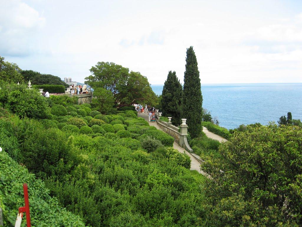 Алупка з panoramio.com (ч.3) - Алупка