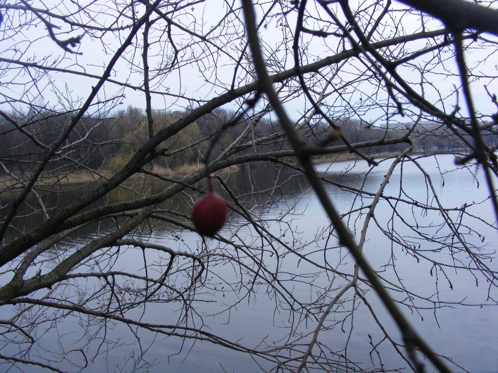 Донецьк з panoramio.com (ч.12) - Донецьк