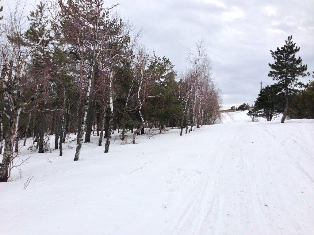 Охотниче з panoramio.com (ч.3) - Охотниче