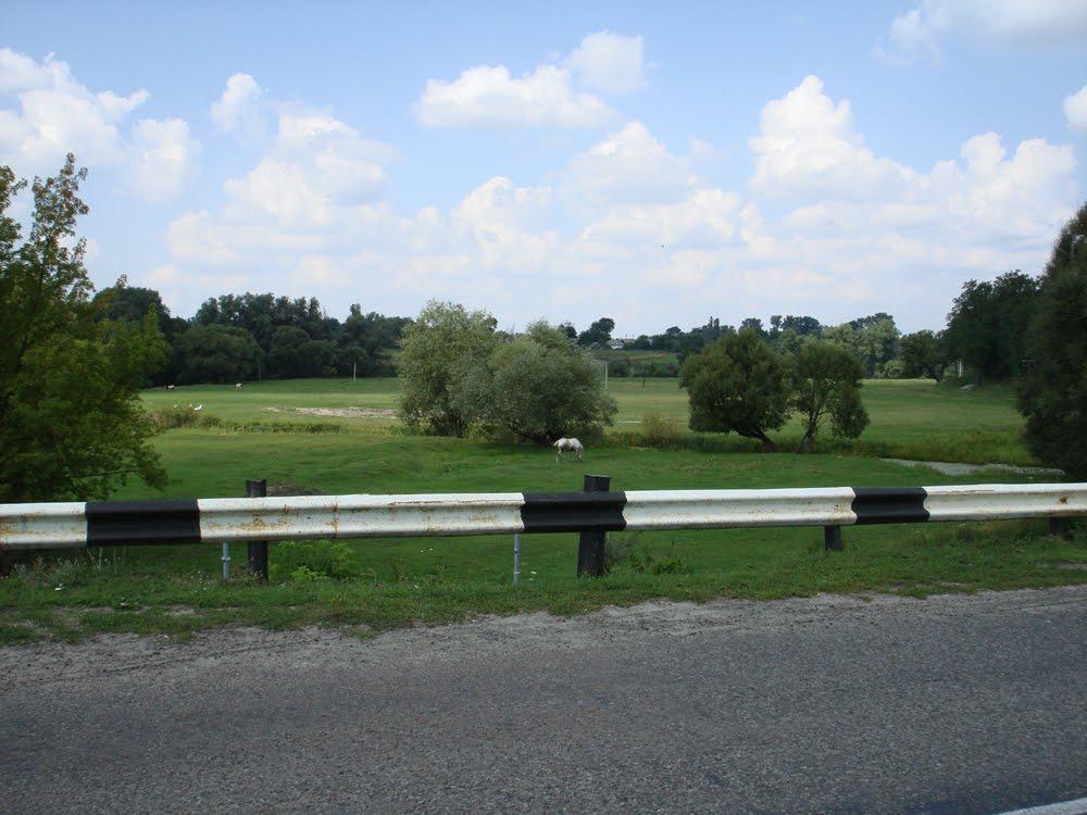 Кончаки з panoramio.com - Кончаки