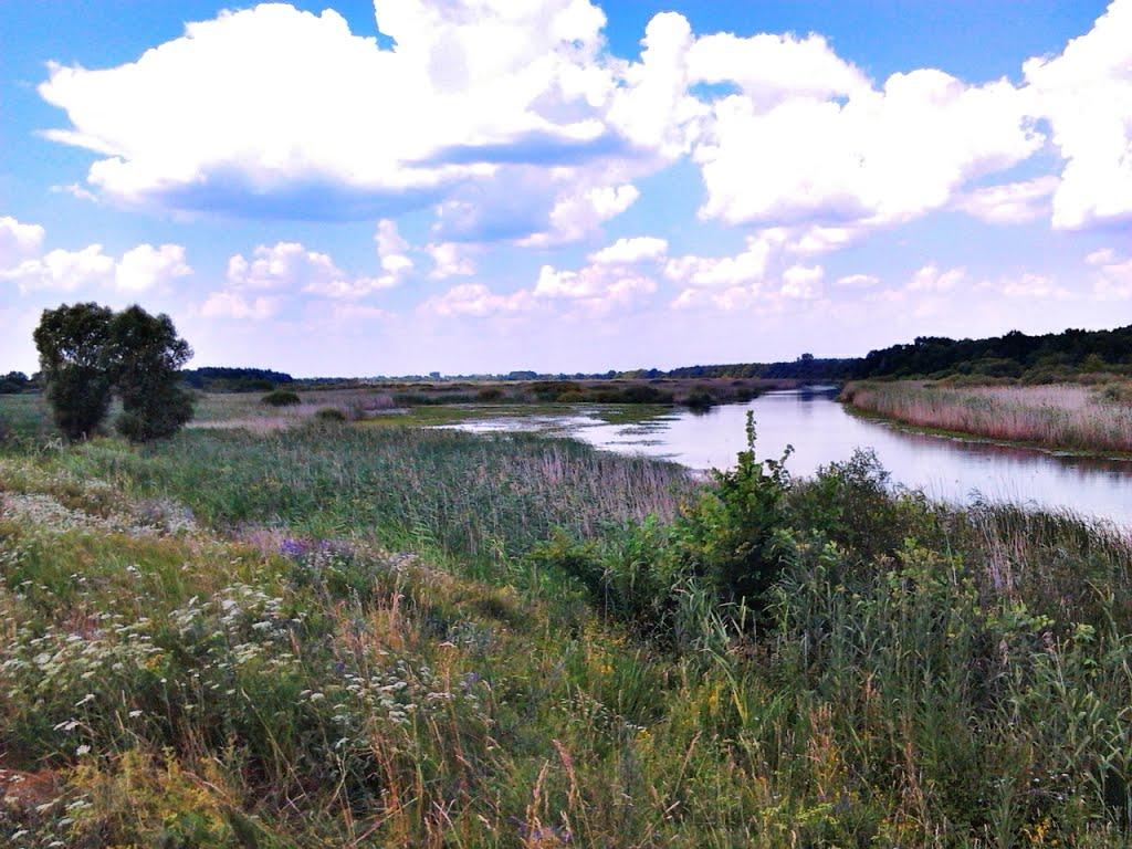 Шкурати з panoramio.com - Шкурати