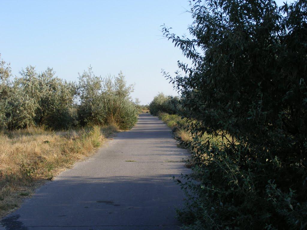 Рибальче з panoramio.com - Рибальче