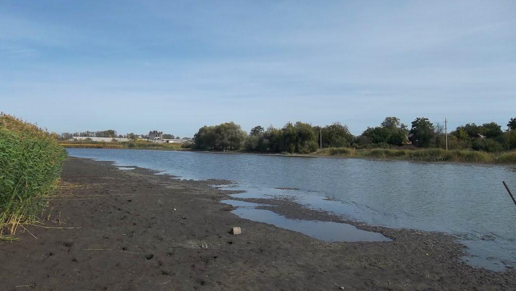 Карлівка з panoramio.com - Карлівка