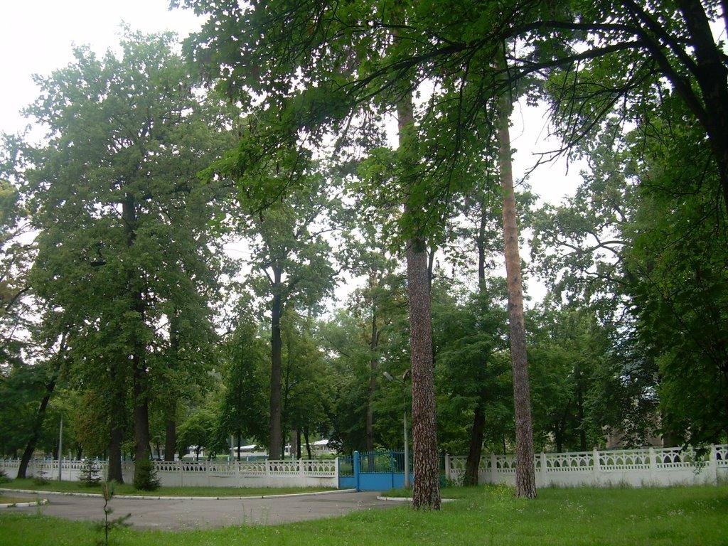 Горенка з panoramio.com - Горенка